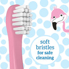 Dr. Brown's Toddler Toothbrush