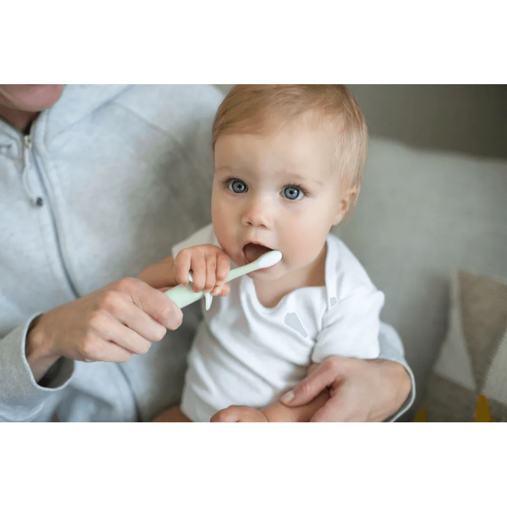 Dr. Brown's Infant-to-Toddler Toothbrush – Mint Elephant, Single Pack