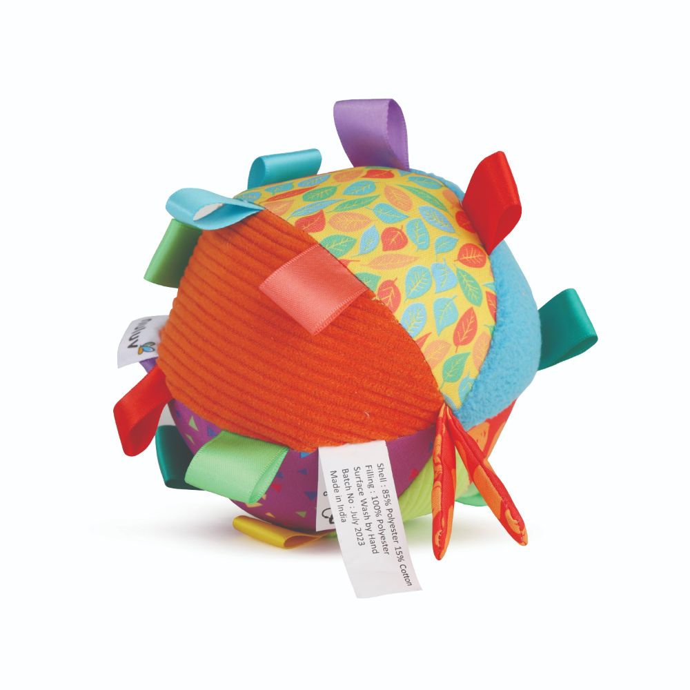 Nuluv Playtime Activity Ball