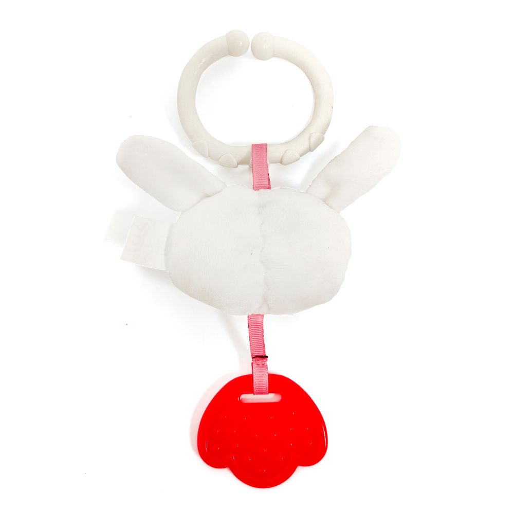 Nuluv Playtime Teether