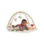 Skip Hop Geometric Wonders Activity Gym