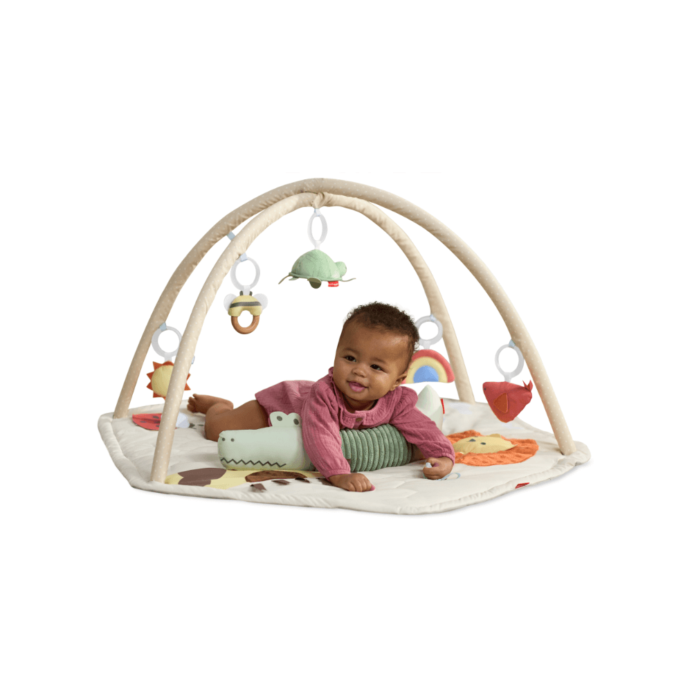 Skip Hop Geometric Wonders Activity Gym