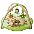 Skip Hop Treetop Friends Activity Gym