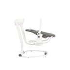 Joie Serina™ 2in1 Infant Swing & Rocker