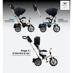 Bentley Mulliner 6-in-1 Baby Stroller - Gold