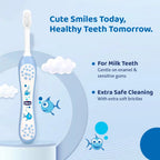 Chicco Toothbrush 6M-36M IN