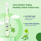 Chicco Toothbrush 6M-36M IN